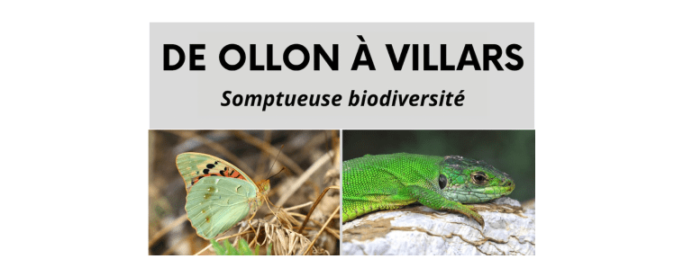 A vos agendas&nbsp;!